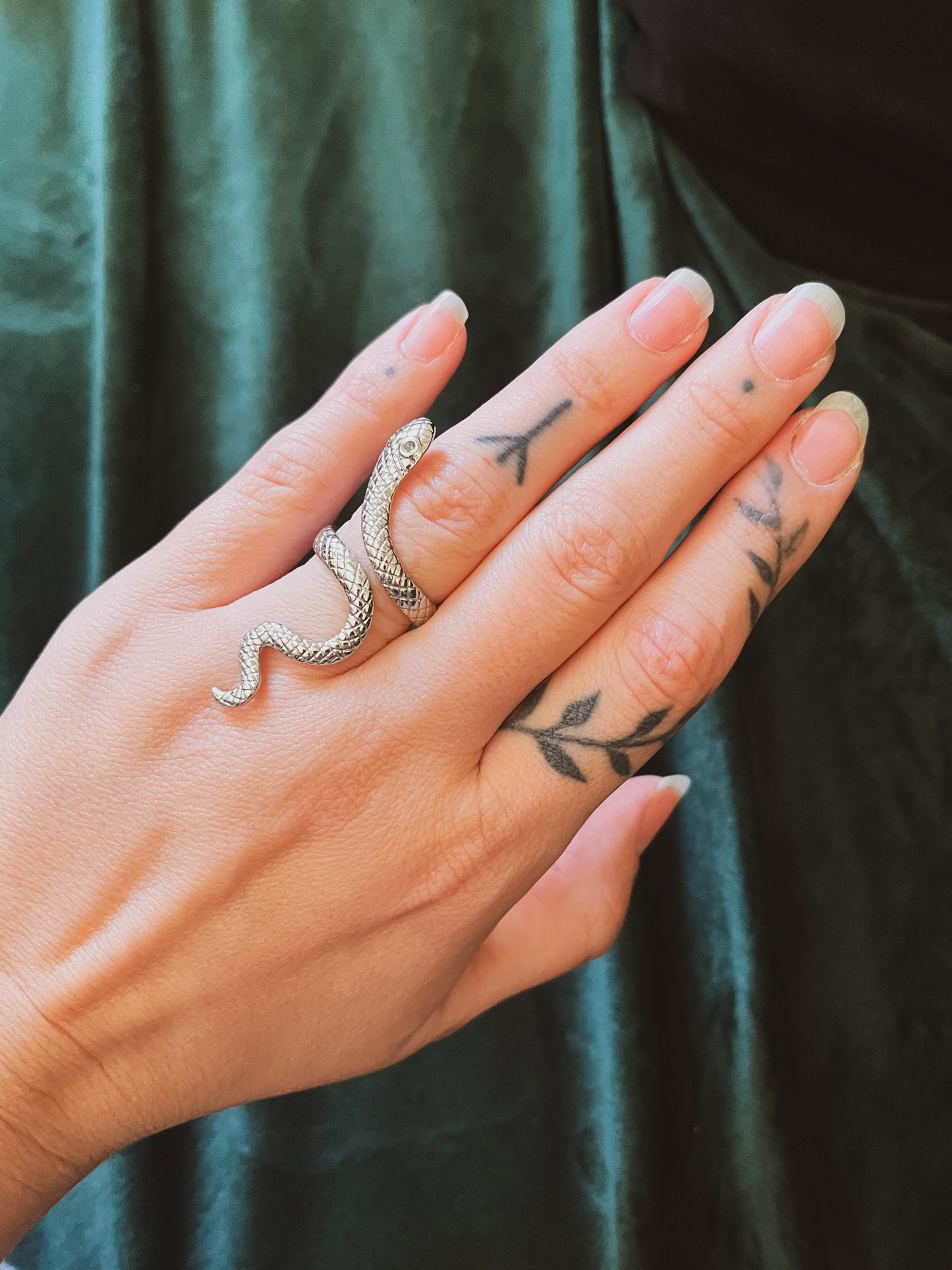 Anillo ajustable de acero inoxidable