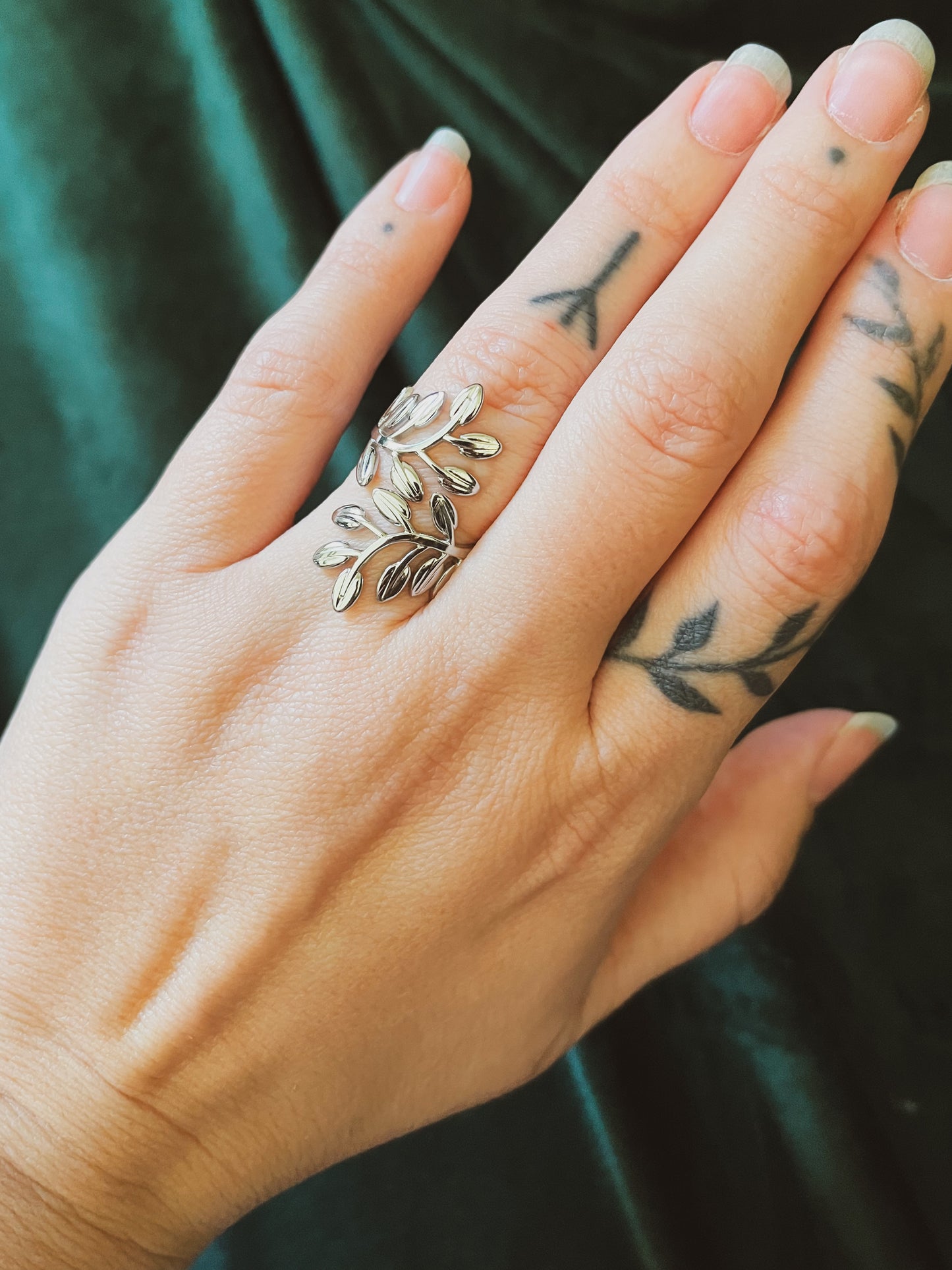 Anillo ajustable de acero inoxidable