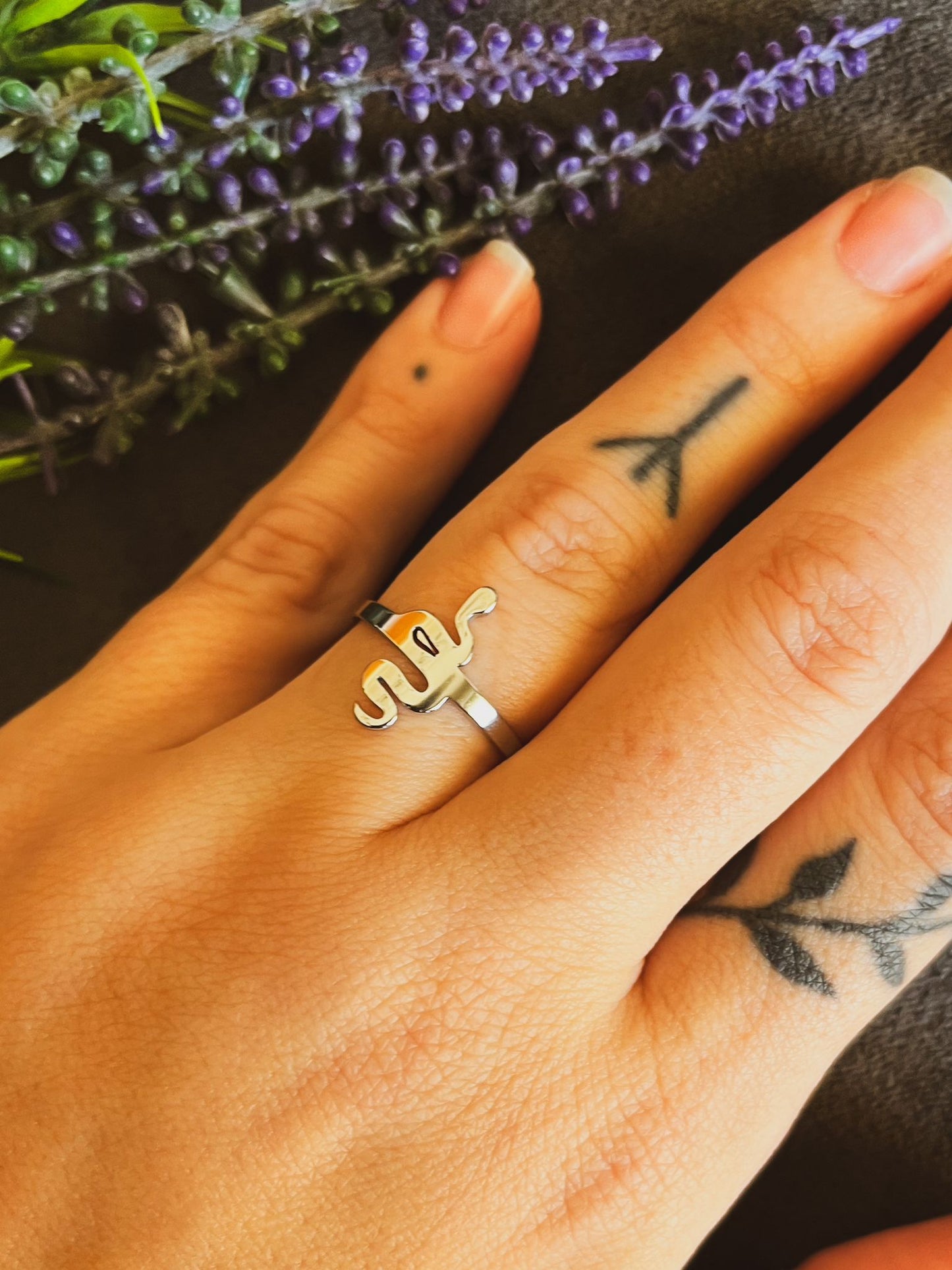 Anillo ajustable de acero inoxidable