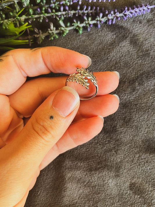 Anillo ajustable de acero inoxidable