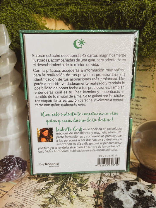 Oráculo misión de vida