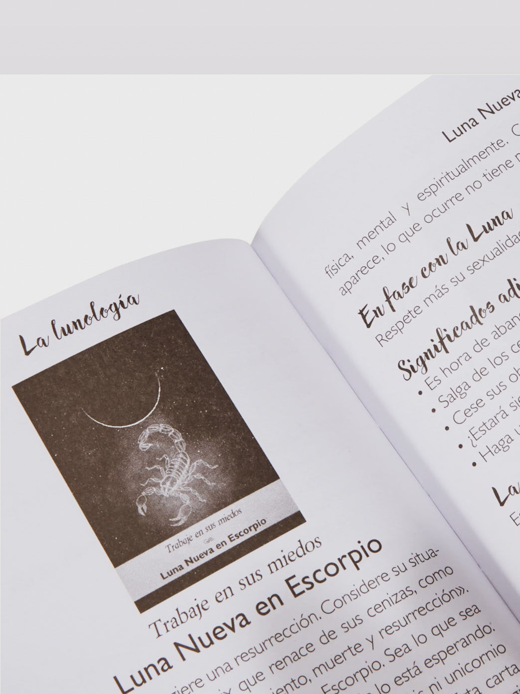 Oráculo La Lunología