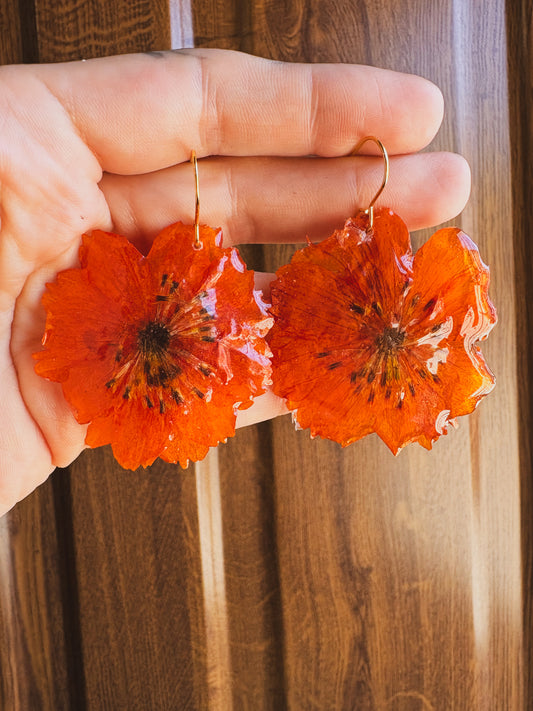 Amapolas